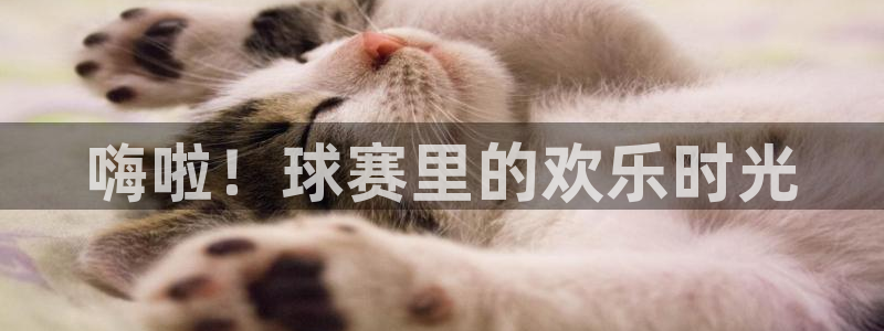 kok中欧体育下载